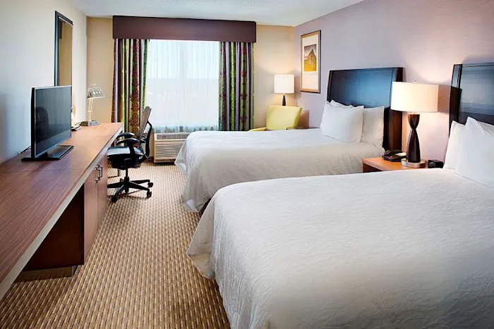 Hilton Garden Inn Hartford North/Bradley Int'l Airport 4