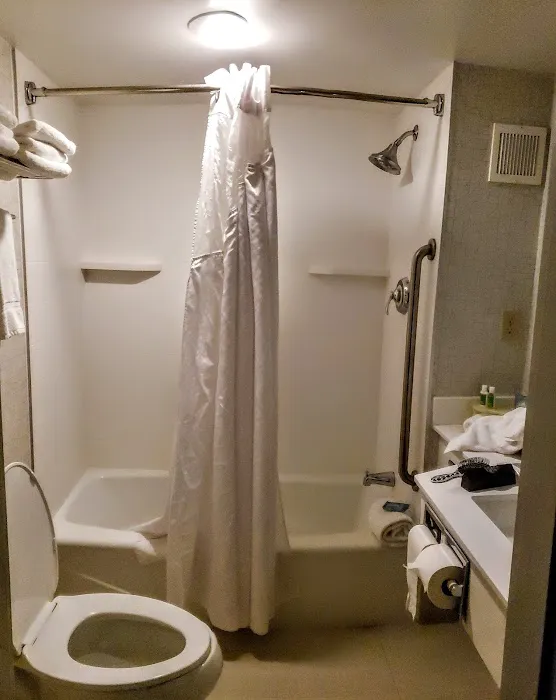 The Albany Hotel 5