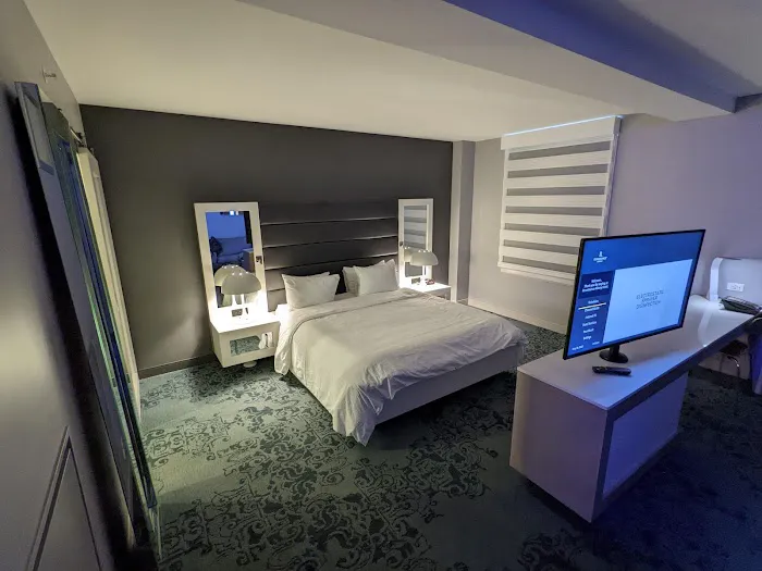 Renaissance Albany Hotel 5