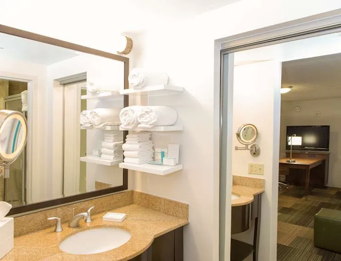 Hampton Inn & Suites Albany-Downtown 5