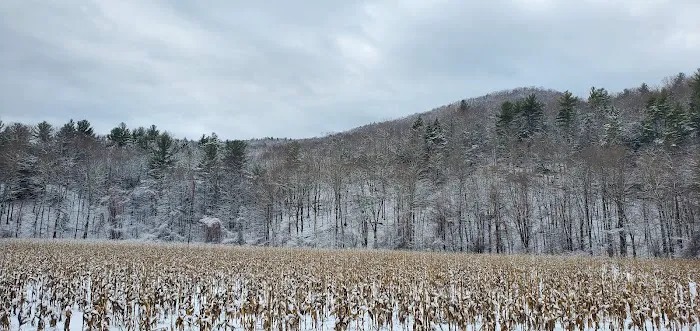 Shaker Meadows 4
