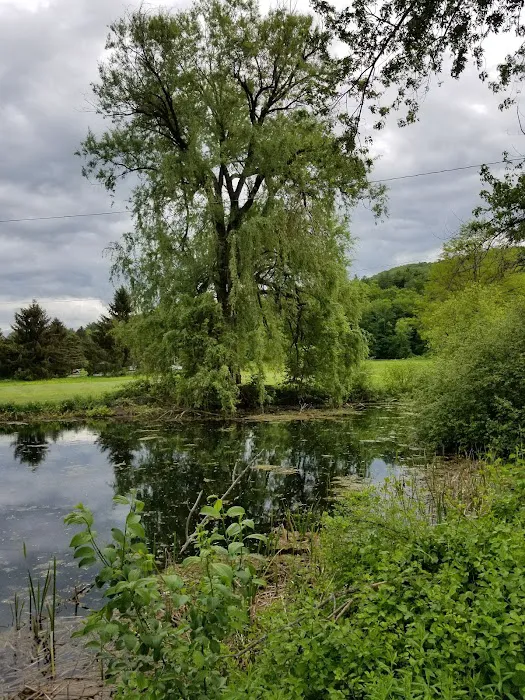 Shaker Meadows 4