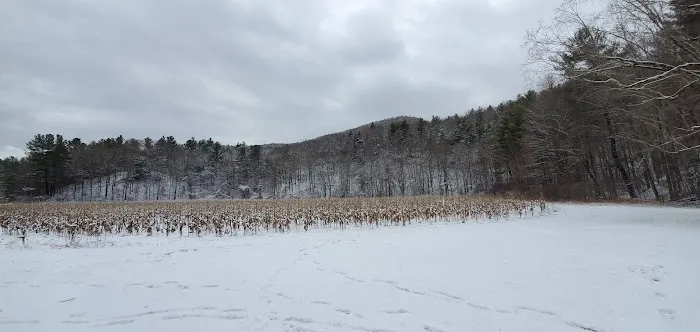 Shaker Meadows 4