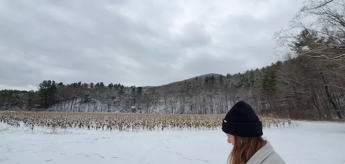 Shaker Meadows 4