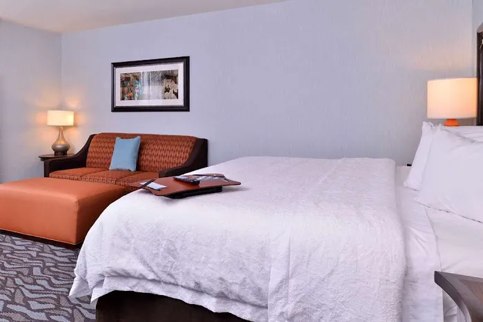 Hampton Inn Rome 4