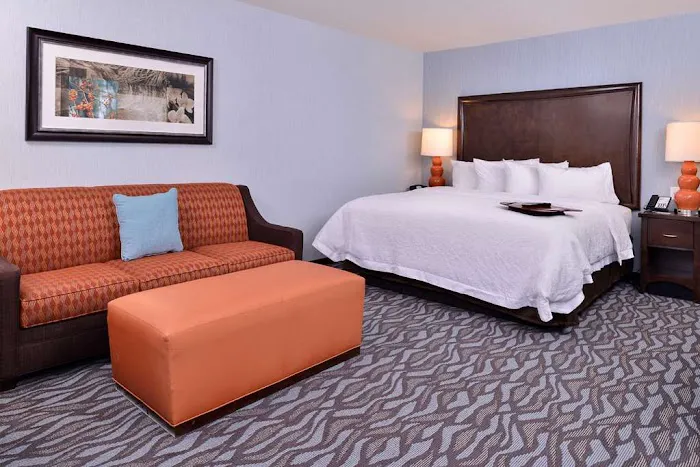 Hampton Inn Rome 4