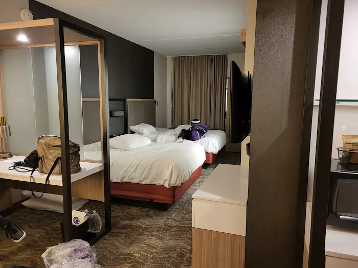 SpringHill Suites Newark Downtown 4