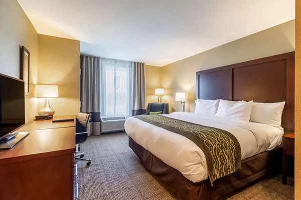 Comfort Inn & Suites - Harrisburg Airport - Hershey South 4