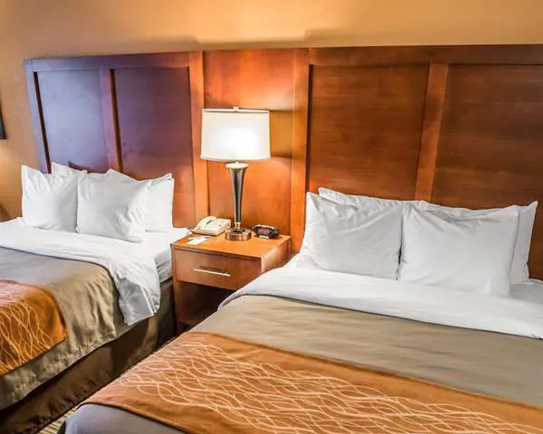 Comfort Inn at the Park 4