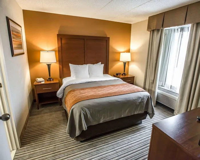Comfort Inn at the Park 4