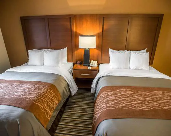 Comfort Inn at the Park 4