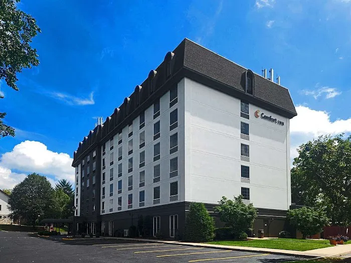 Comfort Inn at the Park 4