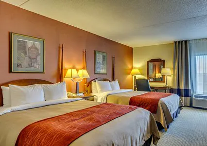 Comfort Inn & Suites 4