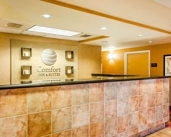 Comfort Inn & Suites 4