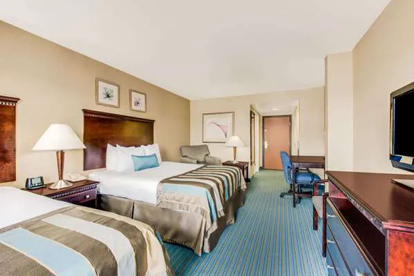 Wingate by Wyndham York 4