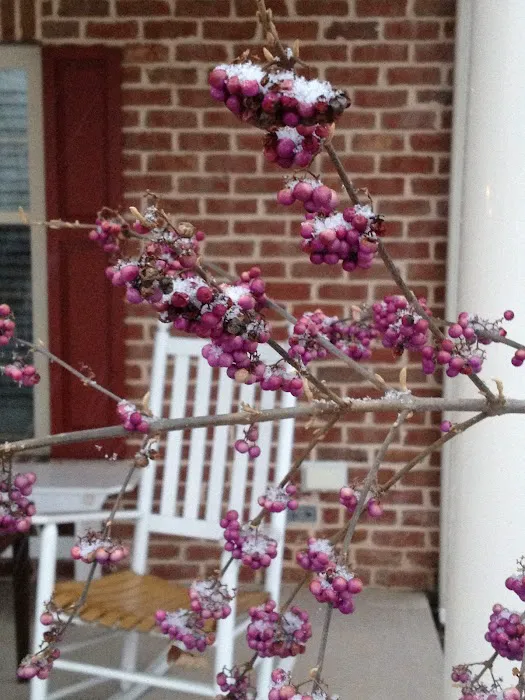 Selinsgrove Inn 4