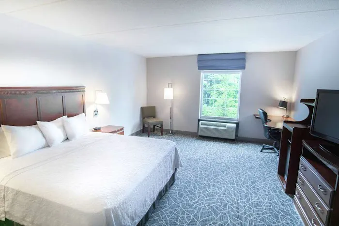 Hampton Inn & Suites Berkshires-Lenox 4