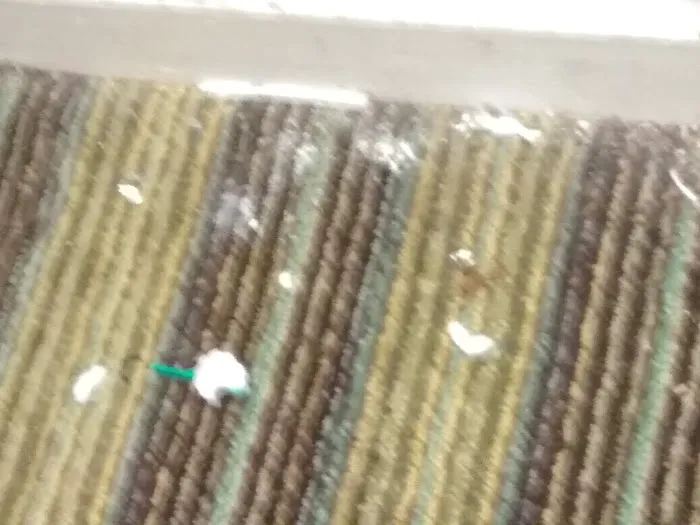 Value Inn 4