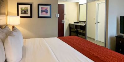 Comfort Inn & Suites East Hartford - Hartford