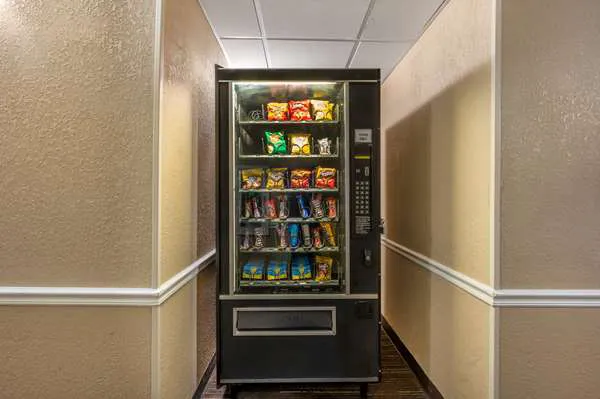 Comfort Inn & Suites East Hartford - Hartford 4
