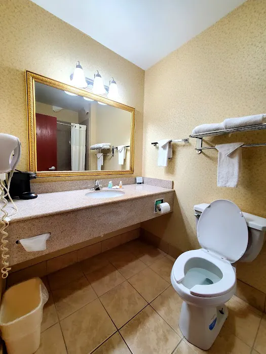 Quality Inn & Suites 4