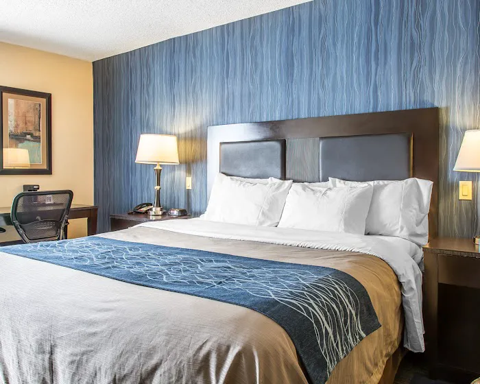 Comfort Inn & Suites 4