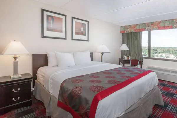 Ramada Plaza by Wyndham Albany 4