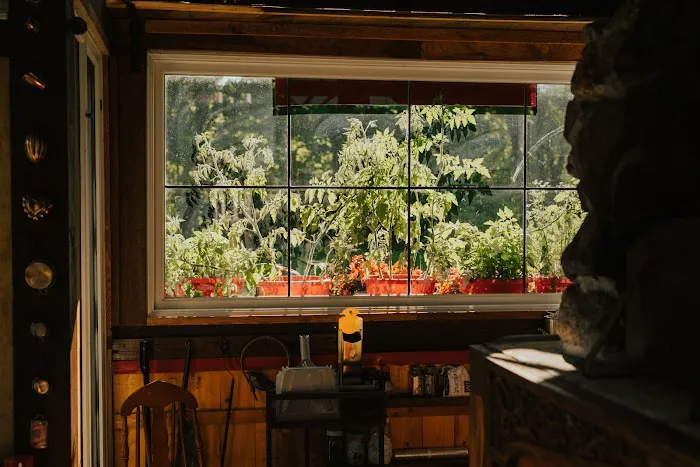 North River Hobby Farm Cabin and Glamping Rentals 4