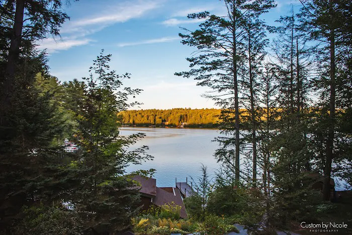The Fern Lodge 4