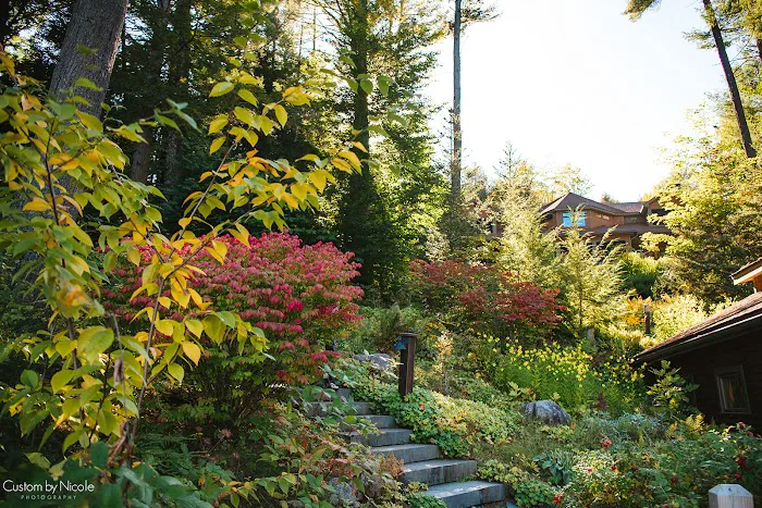 The Fern Lodge 4