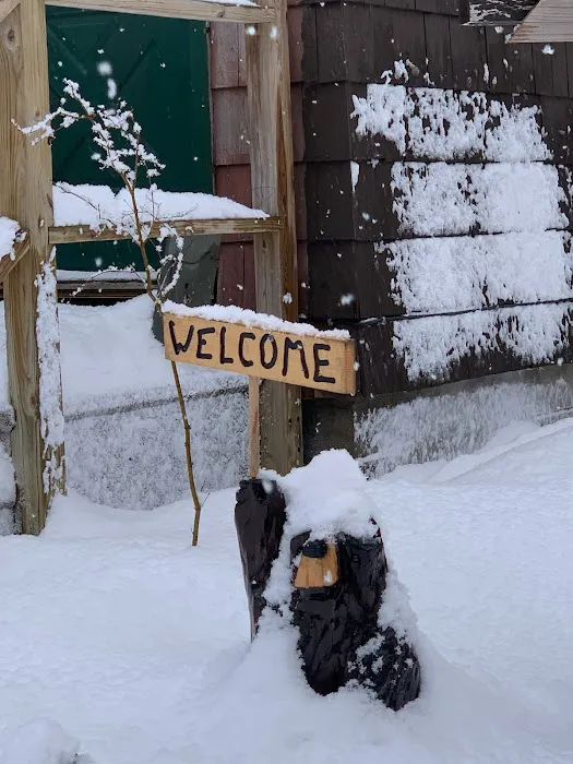 Twin Pine Lodge 4