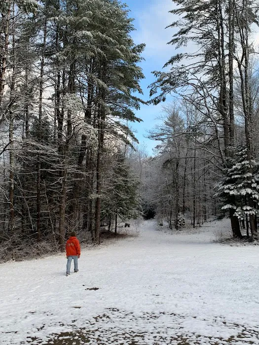 Twin Pine Lodge 4