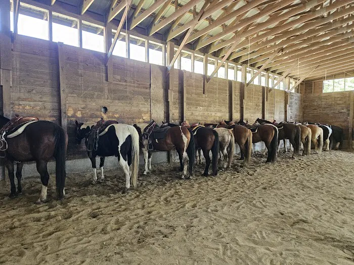 Ridin-Hy Ranch 4