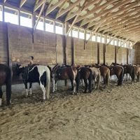 Ridin-Hy Ranch ico