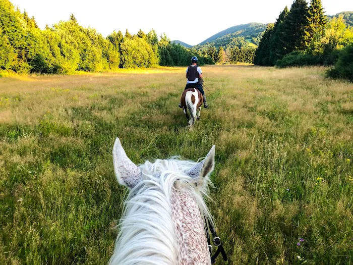 1000 Acres Ranch Resort 4