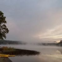 Trout Lake Club ico