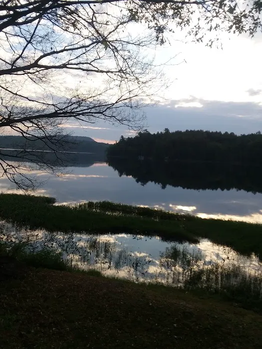 Trout Lake Club 4