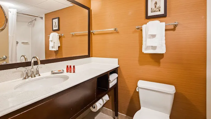 Best Western Premier The Central Hotel & Conference Center 4