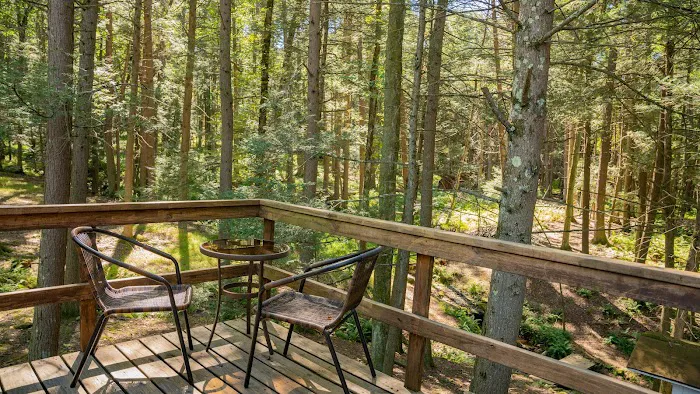 Cabins 4 Rent 4