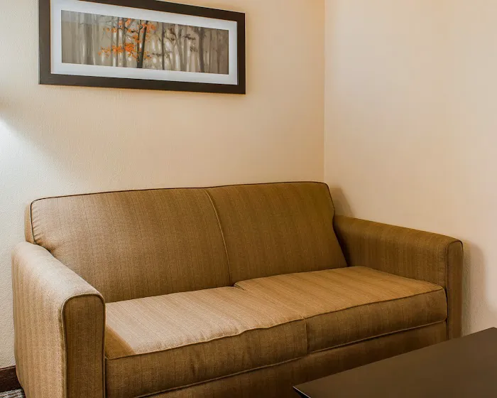 Comfort Suites 4