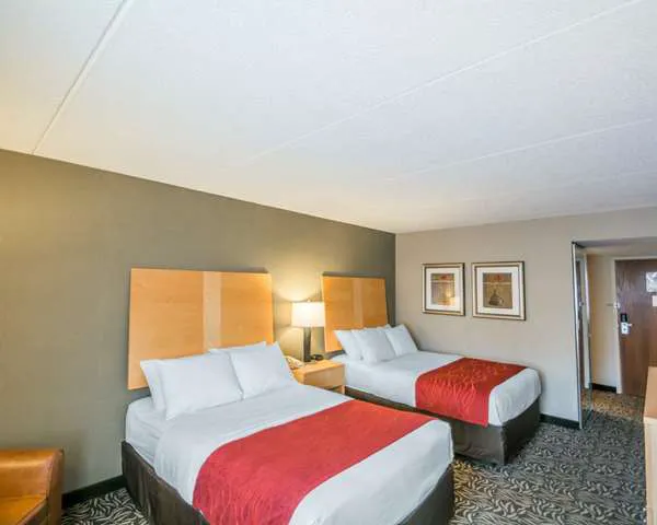 Comfort Inn - NYS Fairgrounds 4