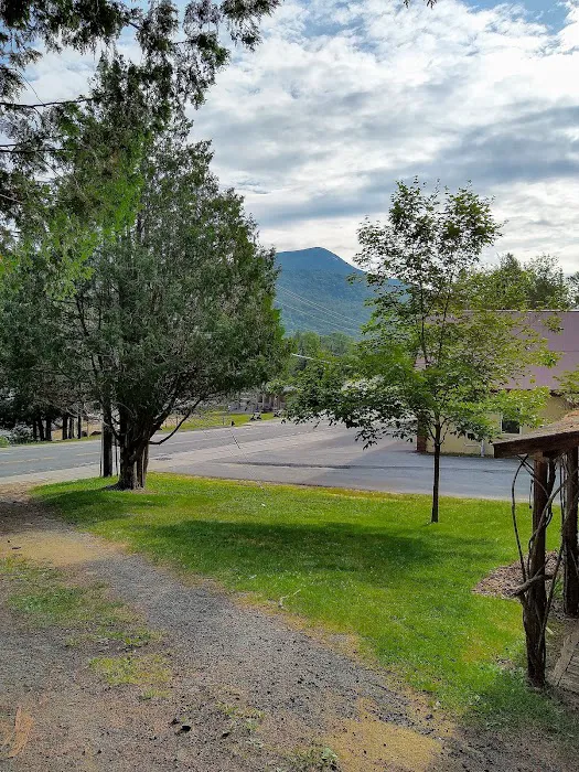 Blue Mountain Lake Inn 4