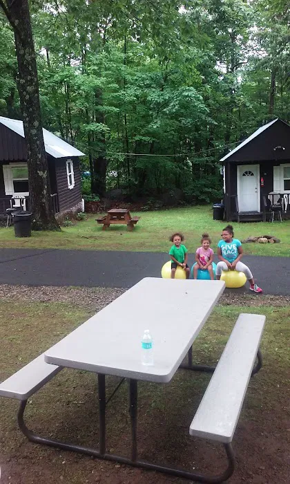 The Lake George Bear's Den 4