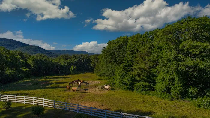 Roaring Brook Ranch Resort 4