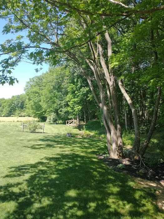 Breezy Timbers Bed & Breakfast 4