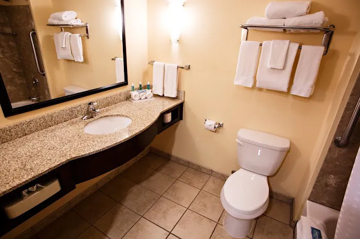 Holiday Inn Express & Suites Harrisburg W - Mechanicsburg by IHG 4
