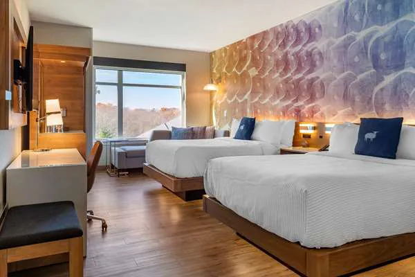 Cambria Hotel Manchester South Windsor 4