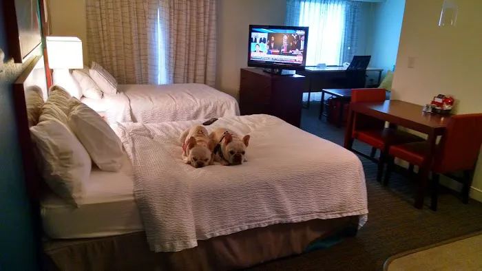 Residence Inn Hartford Manchester 4