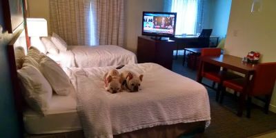 Residence Inn Hartford Manchester