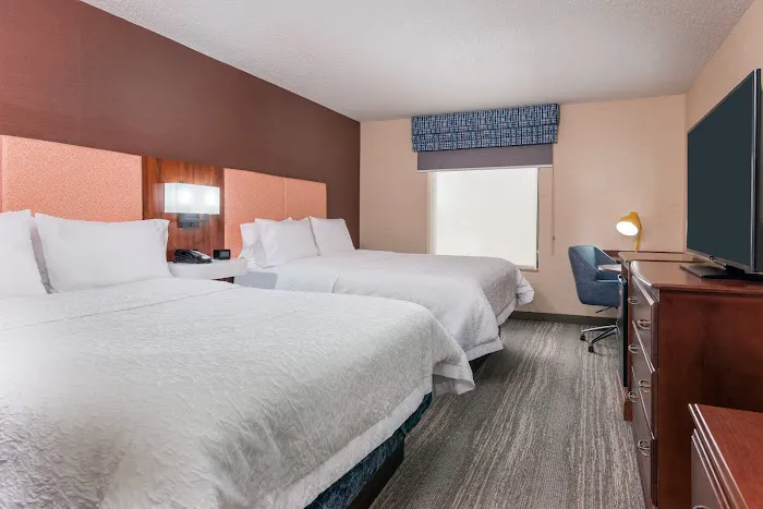 Hampton Inn Springfield South Enfield 4